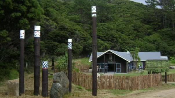 A peaceful coastal community setting framed by native bush